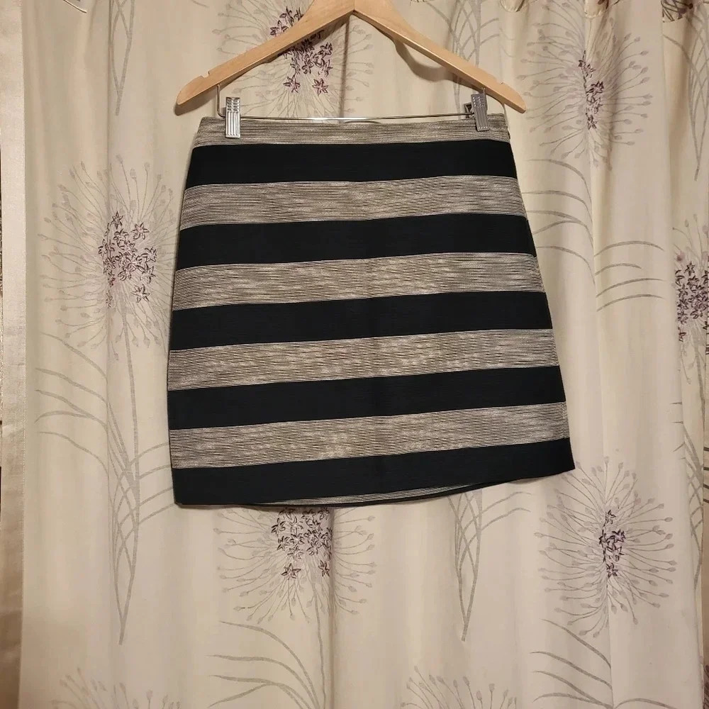 LOFT Ann Taylor Skirt Blue Silver Stripe Size 6